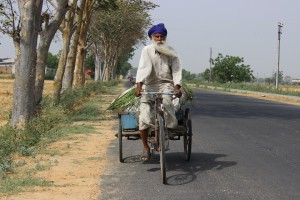 Punjabi man-762211_960_720